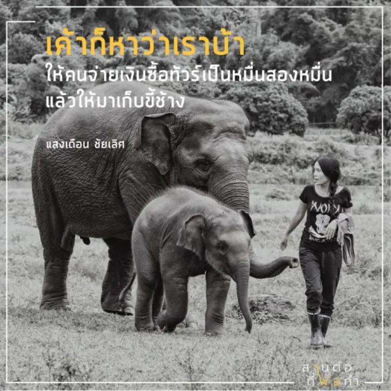 “เที่ยวไทย สไตล์ยั่งยืน” ตีแผ่ความสำเร็จของโมเดลธุรกิจจากแนวคิดพ่อ