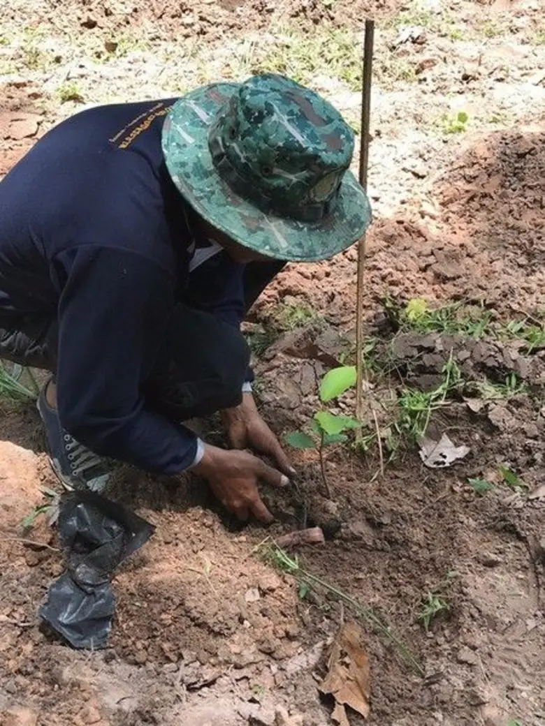 กระทรวงวิทยาศาสตร์และเทคโนโลยี สำนักงานพั...