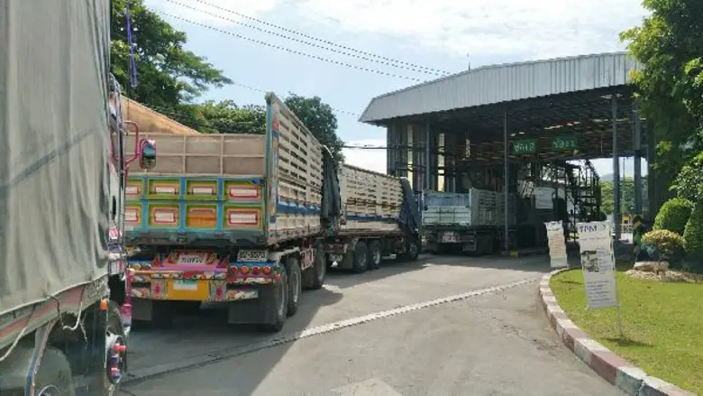 CP ยืนยันยังเปิดรับซื้อผลผลิตข้าวโพดเลี้ยงสัตว์อย่างต่อเนื่อง