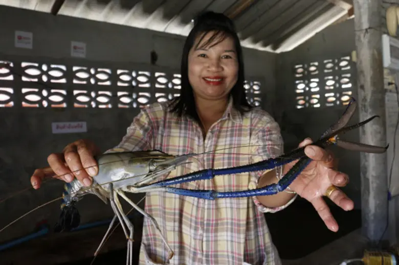 สำนักสร้างสรรค์โอกาสและนวัตกรรม สำนักงานก...