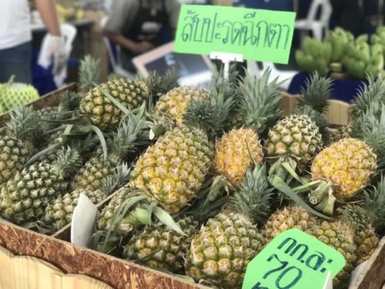 ช้อปเพลิน เดินสบาย ในงาน “ตลาดเกษตรอินทรีย์และสินค้าปลอดภัย” ที่ อ.ต.ก. ได้ของดี ถูกใจสบายกระเป๋า