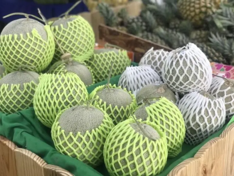 ช้อปเพลิน เดินสบาย ในงาน “ตลาดเกษตรอินทรีย์และสินค้าปลอดภัย” ที่ อ.ต.ก. ได้ของดี ถูกใจสบายกระเป๋า