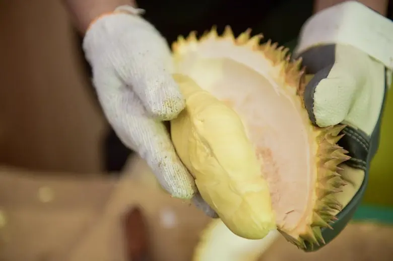 เอ็มควอเทียร์ ส่งท้ายเทศกาลทุเรียนแห่งปีสุดยิ่งใหญ่ ใน “ควอเทียร์ ทุเรียน เฟสติวัล และของดี 10 จังหวัดภาคใต้”