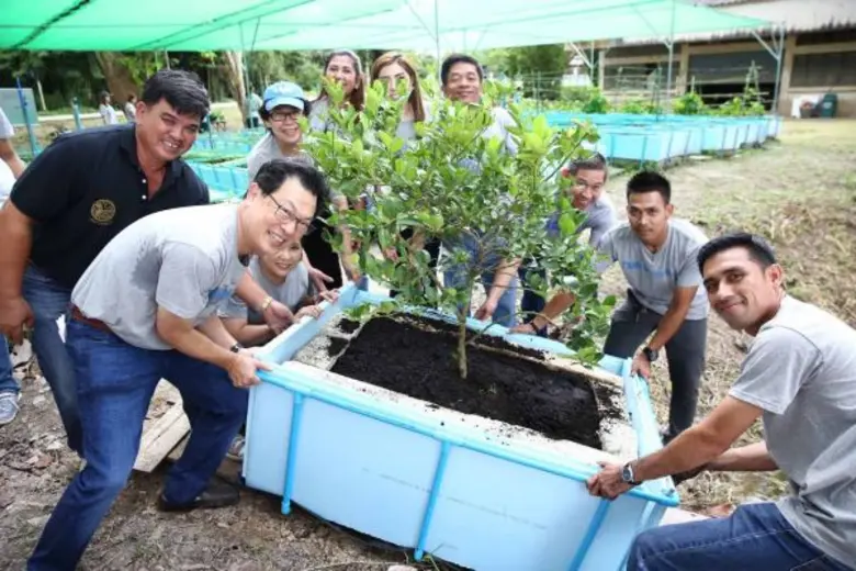 อาสาสมัครทีเอ็มบี ร่วมกับชุมชนท่าสะท้อน สร้างแปลงผักลอยน้ำ ในกิจกรรมเปลี่ยนชุมชนเพื่อความยั่งยืนโดย “ไฟ-ฟ้า ทีเอ็มบี”