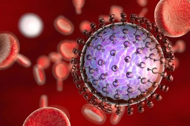 นางศุภศรัย สง่าวงศ์ นักวิชาการสาธารณสุขชำ...