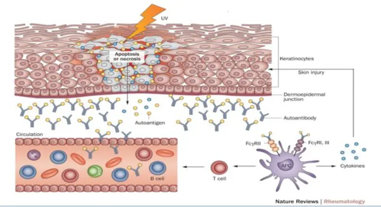 ปันปั่น โครงการจักรยานสาธารณะโดยกรุงเทพมห...