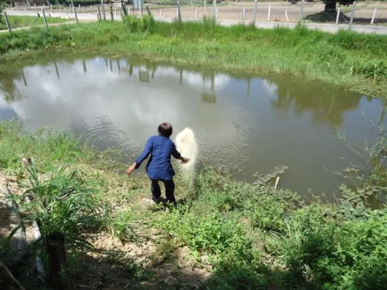 กรมประมงเดินหน้าขับเคลื่อนโครงการเกษตรอินทรีย์ หวังช่วยฟื้นฟูสิ่งแวดล้อม ควบคู่ไปกับการทำเกษตรตามหลักเศรษฐกิจพอเพียง ปัจจุบันรัฐบาลได้ให้ความสำคัญต่อภาคการเกษตรของไทย โดยได้สนับสนุนให้เกษตรกรยึดหลัก