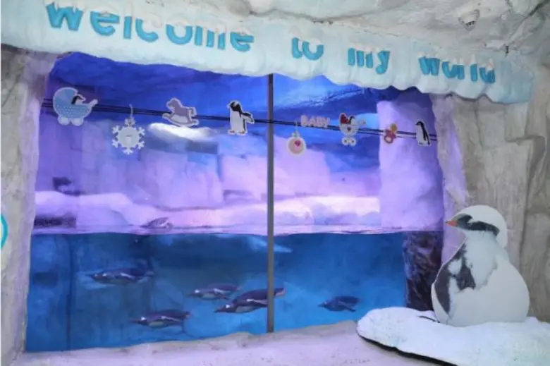 ซีไลฟ์ แบงคอก อควาเรียมมาตรฐานระดับโลกใจก...