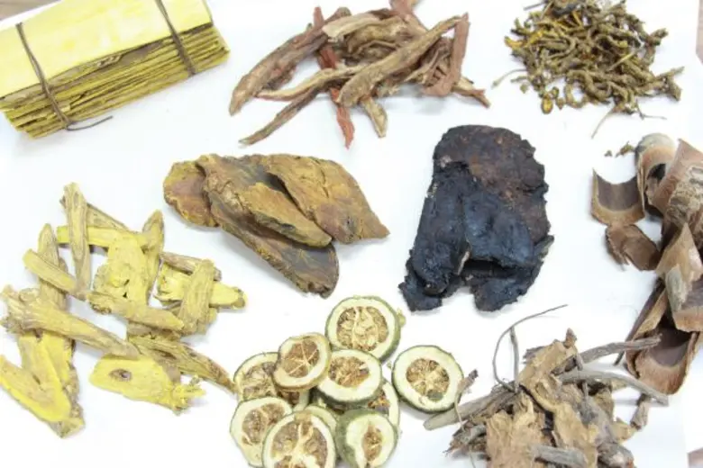 “ มารู้จักสมุนไพร รักษาโรคริดสีดวงทวารกันเถอะ ” ตามศาสตร์แพทย์แผนจีน