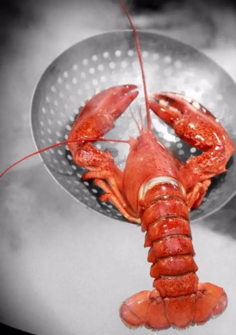 ตั้งแต่วันนี้ จนถึง 31 สิงหาคม 2560 ห้องอ...