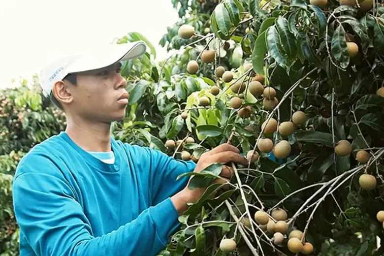 รายการ "สานรัก คนเก่งหัวใจแกร่ง" อาทิตย์น...