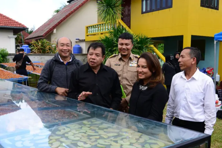 สำนักงานพลังงานจังหวัดภูเก็ต ส่งเสริมกลุ่มวิสาหกิจชุมชนแม่บ้านเกษตรกรบางหวานพัฒนา