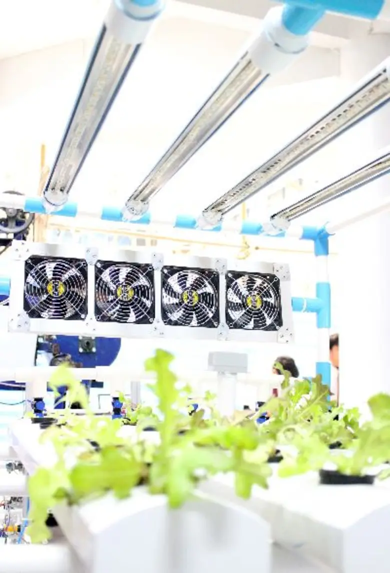 ระบบควบคุมการปลูกผักไฮโดรโปนิกส์ ขานรับ 'มือใหม่หัดปลูก’