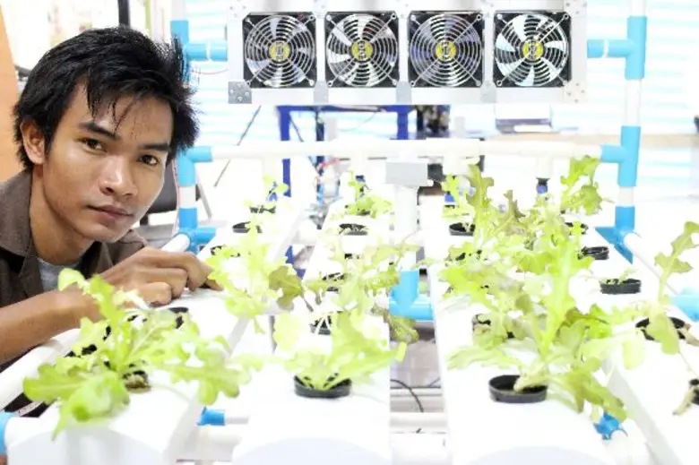 ระบบควบคุมการปลูกผักไฮโดรโปนิกส์ ขานรับ 'มือใหม่หัดปลูก’