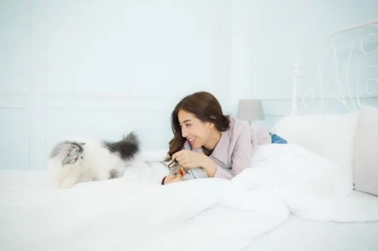 แฮปปี้ที่ปีก่อนได้พาน้องแมวสุดรักมาร่วมโต...