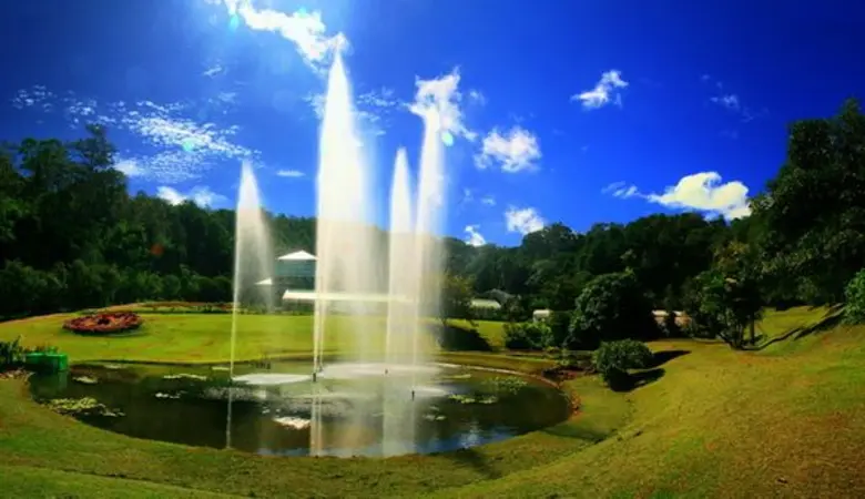 เนื่องในวันพระราชสมภพสมเด็จพระเจ้าอยู่หัว...