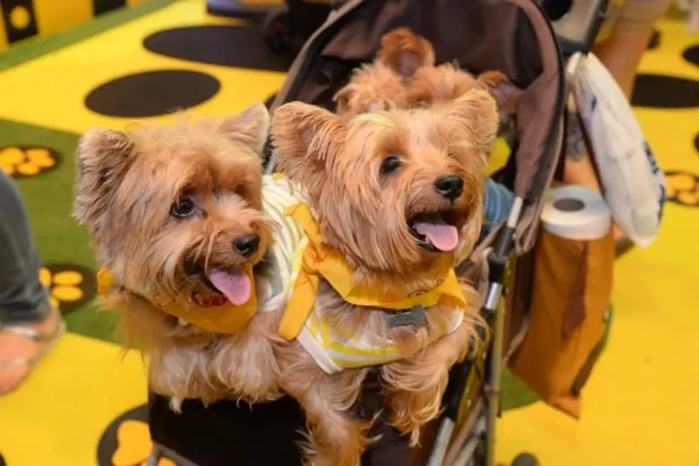 บริษัท เอ็น.ซี.ซี. เอ็กซิบิชั่น ออกาไนเซอร์ จำกัด เ...