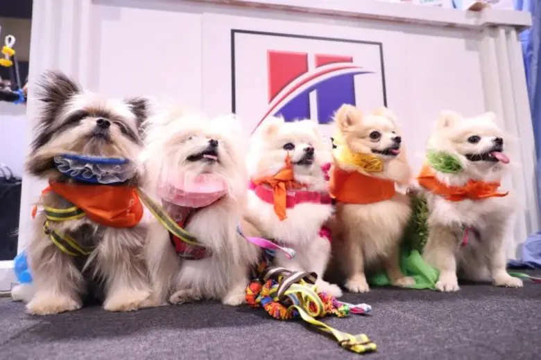 เริ่มแล้ว Pet Expo Championship 2017 by NEO กระหน่ำโปรโมชั่นแรง คาด 4 วันเงินสะพัด 50 ลบ.