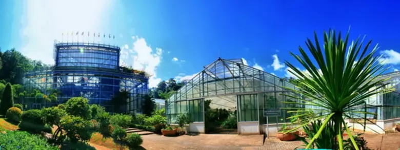 เนื่องในโอกาสมหามงคลเฉลิมพระชนมพรรษา 85 พ...