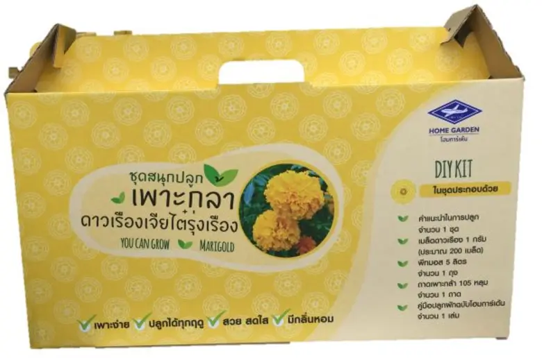 รำลึกพระมหากรุณาธิคุณ ในหลวง ร.9โฮมโปร ขอ...