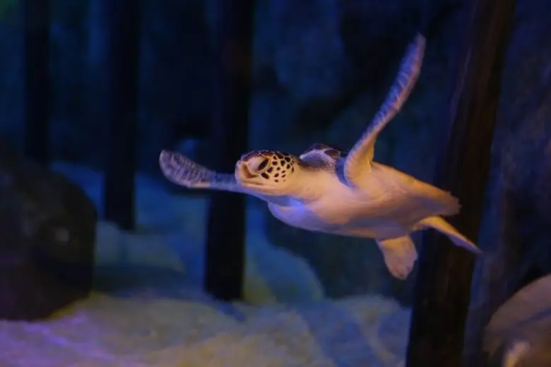 เนื่องในโอกาสวันแม่แห่งชาติและช่วงวันหยุด...