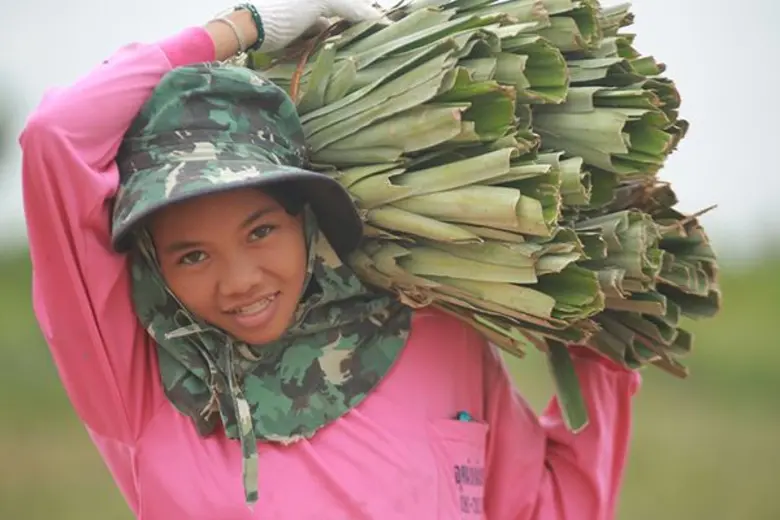 ทีวีไกด์: รายการ “สานรัก คนเก่งหัวใจแกร่ง” วันอาทิตย์ที่ 13 สิงหาคม 2560 ทางแอป AIS PLAY, AIS PLAYBOX และ Youtube sarnrakais