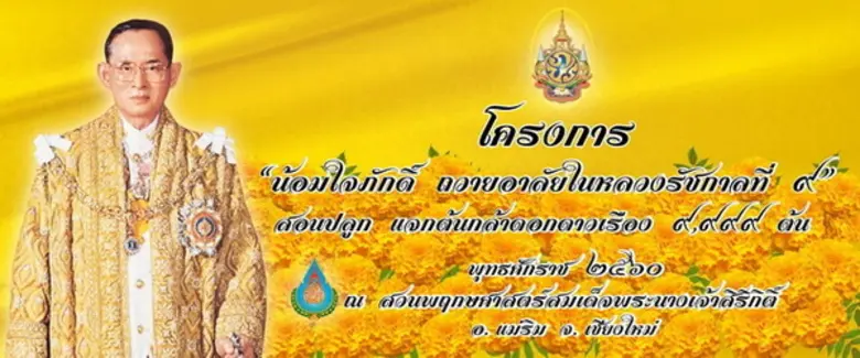 ระหว่างวันที่ 15 สิงหาคม 30 กันยายน 2560 ...