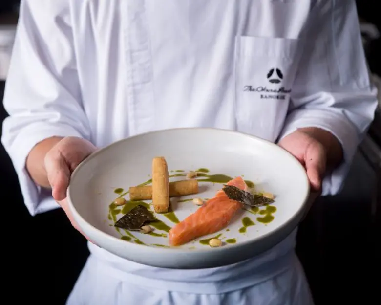 ห้องอาหาร เอเลแมนท์ ขอแนะนำเมนูปลาแซลมอนในฤดูวางไข่จากฮอกไกโด