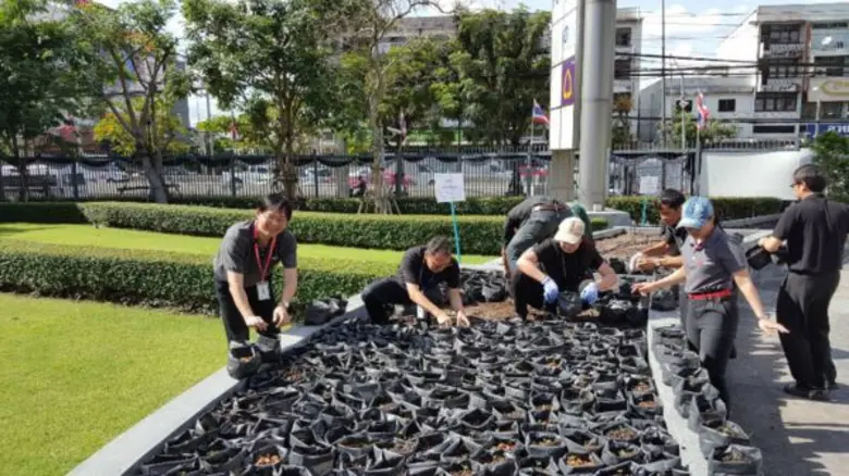 บริษัทดีทีแซด ฟาซิลิตีส์ แอนด์ เอ็นจิเนียริ่ง (ประเทศไทย)และบริษัทผลิตไฟฟ้าราชบุรี โฮลดิ้ง จำกัด มหาชน ร่วมกันจัดกิจกรรม ปลูกวันแม่บานสะพรั่งถวายพ่อหลวง