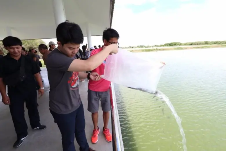 รถไฟฟ้าแอร์พอร์ต เรล ลิงก์ จัดกิจกรรมโครก...