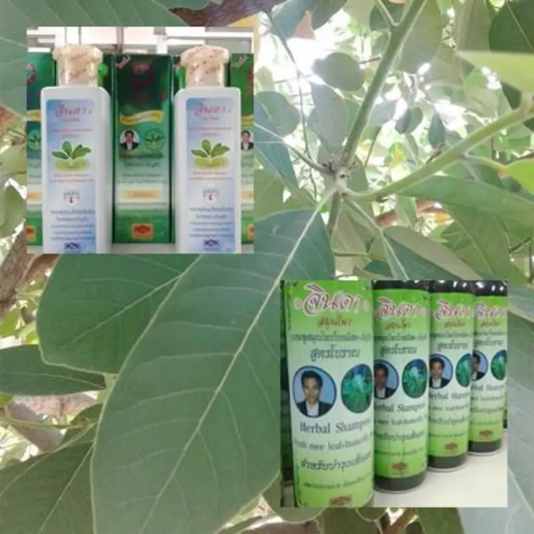 จินดาสมุนไพร ขนทัพสินค้าบุก งานมหกรรมสมุนไพรแห่งชาติ ครั้งที่14