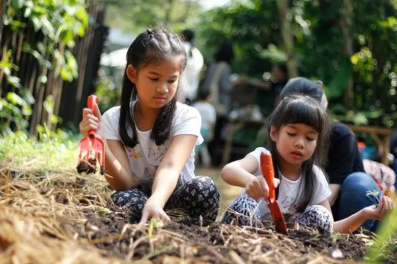 เรียน-รู้-รื่นรมย์ วิถีอินทรีย์ใจกลางกรุง@ ปฐม ออร์แกนิก ลิฟวิ่ง