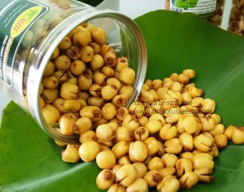 จุดเริ่มต้นความสำเร็จ ปี 2555 คุณณิชชา เต...