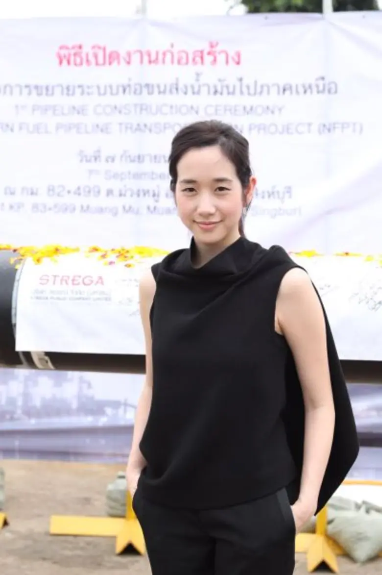 บริษัท ไทรทัน โฮลดิ้ง จำกัด (มหาชน) หรือ ...