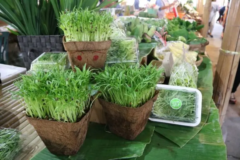 "ปฐมเชื่อมโยงอาหารอินทรีย์สู่ผู้บริโภค" ห...