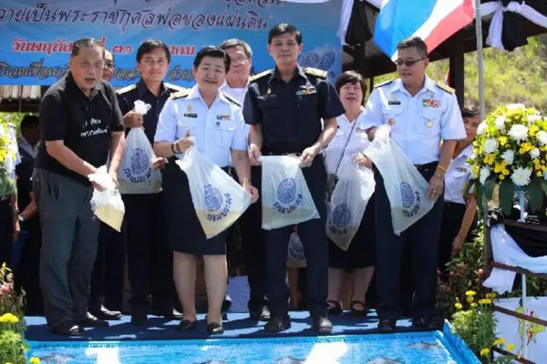 วันที่ 31 สิงหาคม 2560 ณ เขื่อนภูมิพล ตำบ...