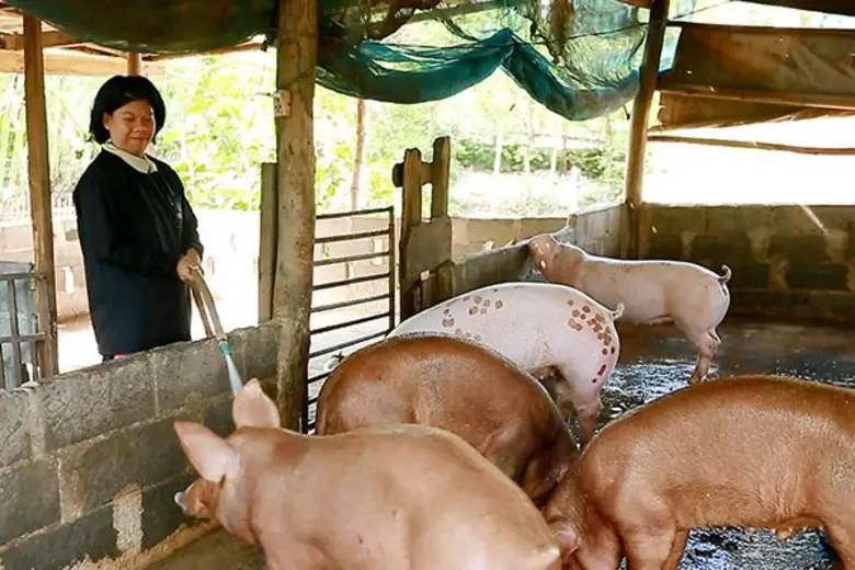 ทีวีไกด์: รายการ “สานรัก คนเก่งหัวใจแกร่ง” วันอาทิตย์ที่ 17 กันยายน 2560 ทางแอป AIS PLAY, AIS PLAYBOX และ Youtube sarnrakais