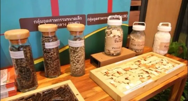 โครงการจัดทำยุทธศาสตร์และแผนงานการส่งเสริมไม้เศรษฐกิจแบบครบวงจร ( พ.ศ. 2561 -2579)