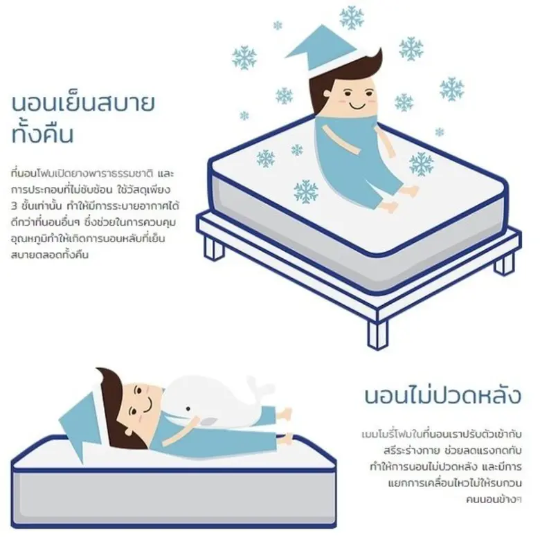 เปิดตัว The Moby Dick นวัตกรรมที่นอนยางพาราระดับพรีเมี่ยม รักษาสุขภาพ