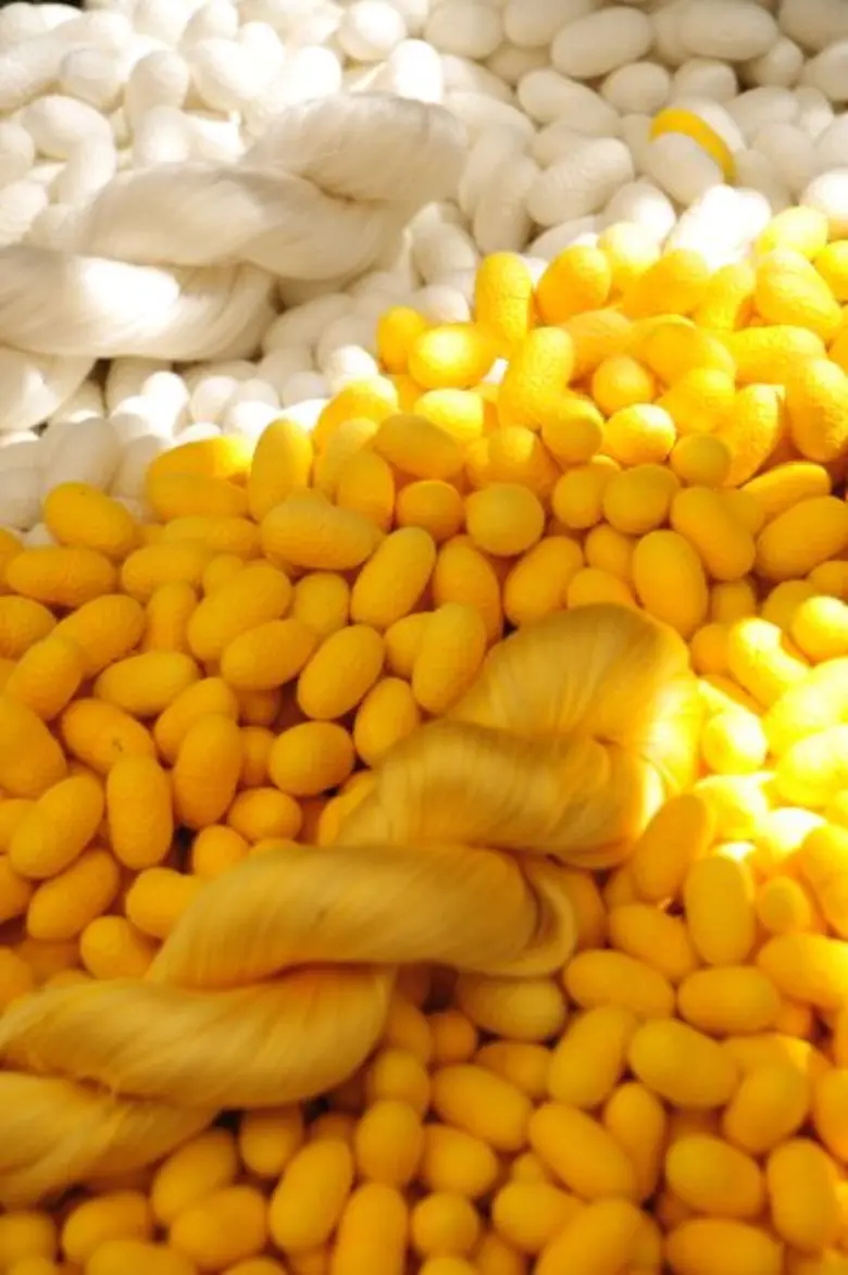 TCDC โชว์ 3 วัสดุส่งแบรนด์ดังระดับโลก พร้อมเปิดฐานข้อมูลวัสดุไทยออนไลน์ หนุน SMEs ไทยเข้าถึงวัตถุดิบสุดครีเอทีฟ