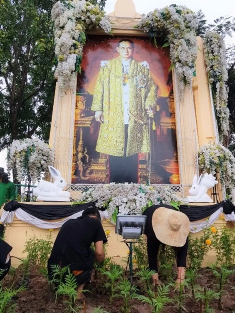 ดุสิตธานี หัวหิน ร่วมกิจกรรมปลูกดาวเรือง ถวาย...พ่อ