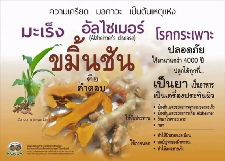 “หมอเบญ อภัยภูเบศร” ชี้ “ขมิ้นชัน” สุดยอดสมุนไพร เตรียมตีตลาดโลก ส่งออก "อเมริกา" มากสุด