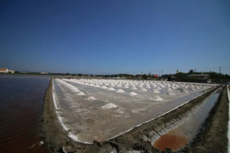 มูลนิธิสยามกัมมาจล ประกายระยิบระยับของภูเ...