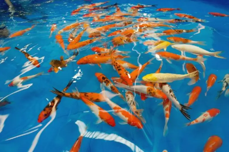 ศูนย์การค้าเซ็นทรัลพลาซา พระราม 2 ร่วมกับ...