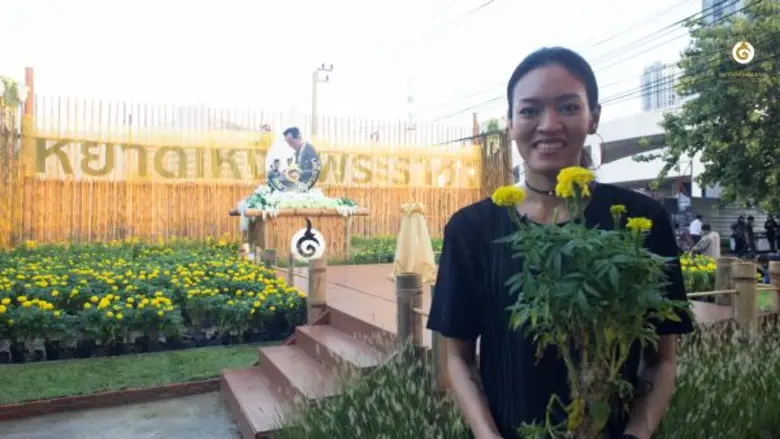 ไม่มีหยาดเหงื่อใดในศตวรรษนี้ที่ให้คนไทยมากกว่า "หยาดเหงื่อพระราชา" ดาราศิลปินเชิญชวนร่วมงาน "หยาดเหงื่อพระราชา” ชวนชาวไทยร่วมร้อยใจ ปลูกดาวเรือง 1 ตค.นี้