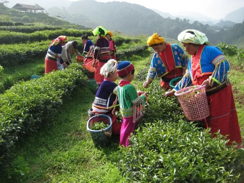 โรงแรมดุสิตธานี กรุงเทพฯ ขอเชิญทุกท่านร่ว...