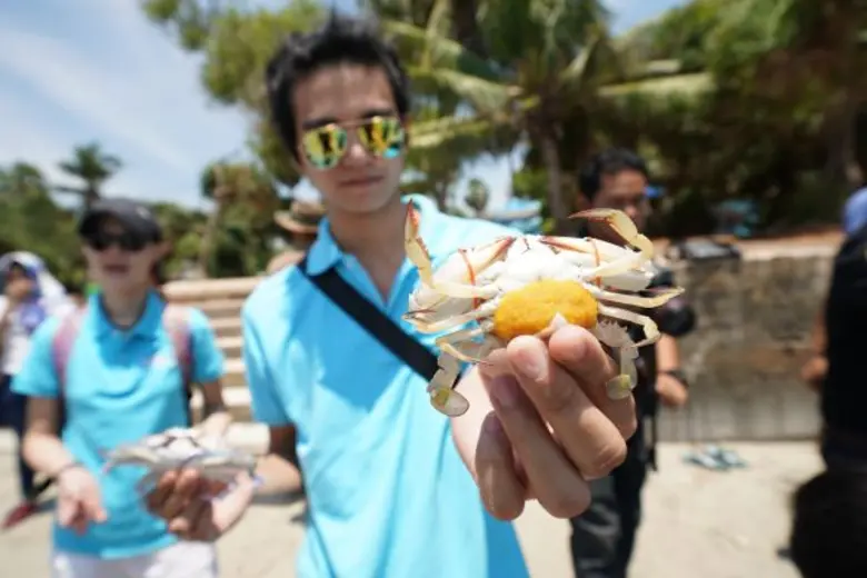 'วันทำความสะอาดชายฝั่งสากล’ กระตุ้นจิตสำนึกรักษ์ทะเล ซีไลฟ์ แบงคอก จัดทริปท่องเที่ยวเชิงอนุรักษ์ พาพนักงานจิตอาสา ปลูกปะการังแบบใหม่ ปล่อยปูม้าคืนสู่ธรรมชาติ และทำความสะอาดชายหาด