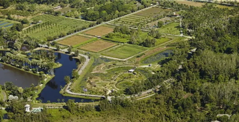 ศูนย์ศึกษาการพัฒนาพิกุลทองอันเนื่องมาจากพ...