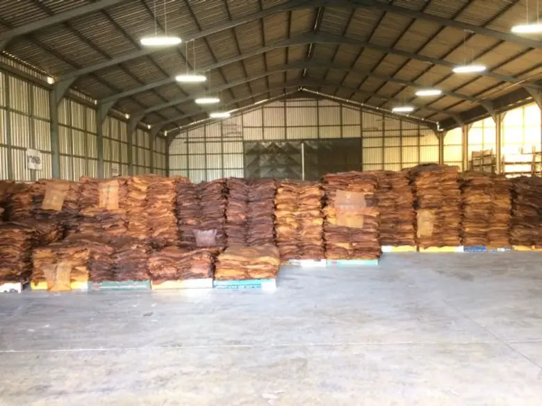 กยท.จ.ตรัง จับมือสหกรณ์การเกษตรย่านตาขาว และสำนักงานตลาดกลางยางพารา จ.สงขลา เปิดตลาดเครือข่ายตลาดกลางยางพาราแห่งแรกของไทย