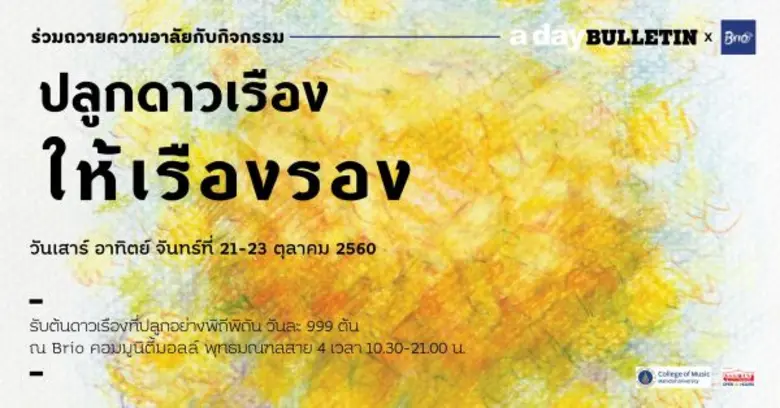 ปลูกดาวเรืองให้เรืองรอง ถวายความอาลัย ในหลวงรัชกาลที่ ๙